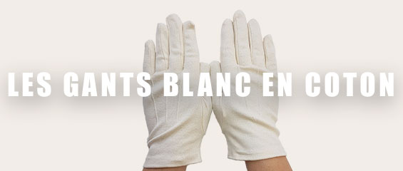 Maison Bayle Gants Homme De Couleur Blanc En Destockage 1904814-blanc0 -  Modz